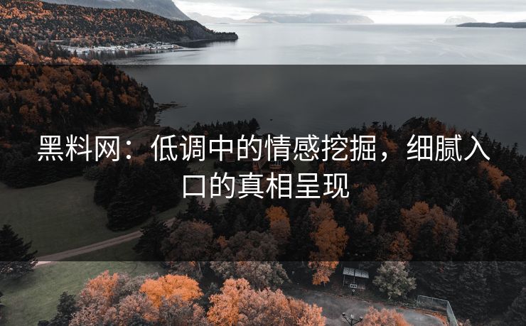 黑料网:低调中的情感挖掘,细腻入口的真相呈现 黑料网:低调中的情感挖掘,细腻入口的真相呈现
